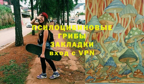 ешки Богородск