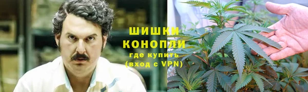трава Богородицк