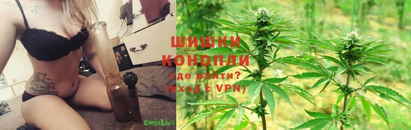 трава Богородицк