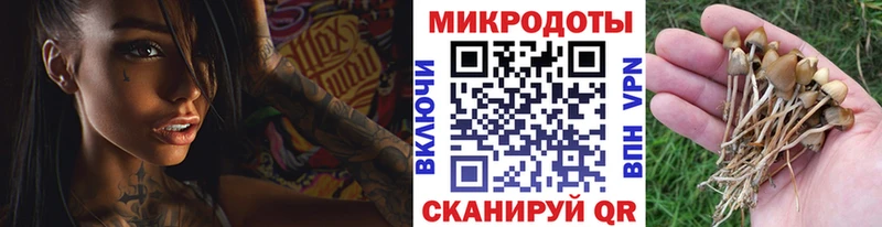Галлюциногенные грибы GOLDEN TEACHER  Чайковский 